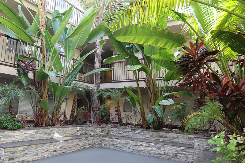 courtyard2 courtyard2